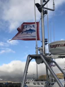 EFSA flag in Iceland