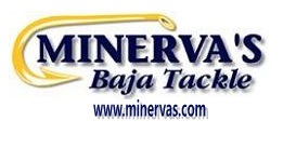 Minervas_Vector4