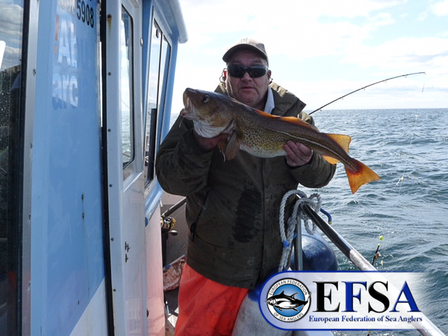 EFSA Cod - Willie Sommerville longest cod