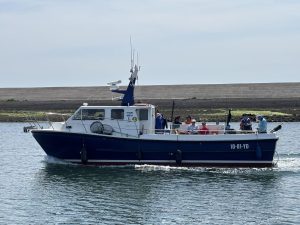 IMG_1050