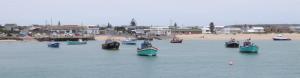 cropped-img_4356