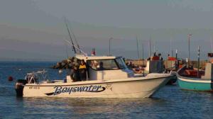 img_0718-bayswater-