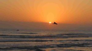 img_0787-sunrise--1