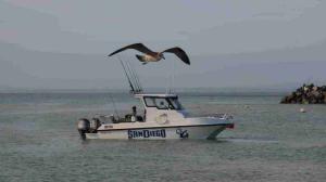 img_1120-sandiego