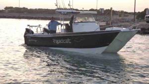 p1260383-rapidcat-1