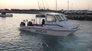 p1260391-moelas--1