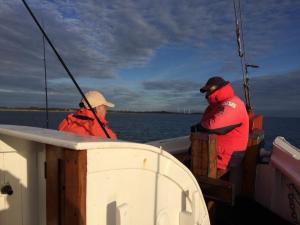 Memories about EFSA Species & Line class Championship 2017, Langeland, - Denmark (1)