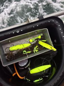 Memories about EFSA Species & Line class Championship 2017, Langeland, - Denmark (4)