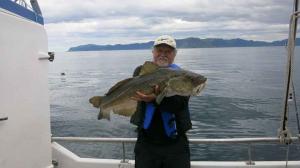 Nice cod