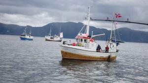 Boats