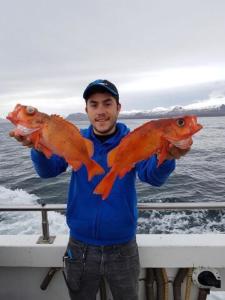 Fish