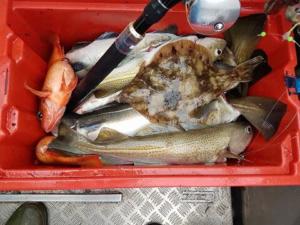 37 More fish-b