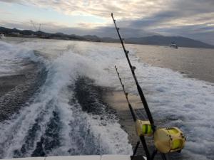 6 Big reels