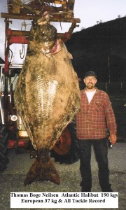 2005RecordsHalibutl