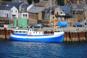 Stromness 2015         