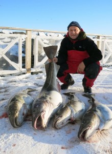 Efsa-Russia-20 four big cods vertical   