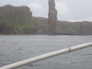 P8030173