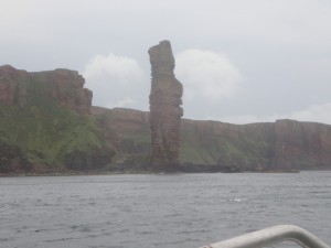 P8030174