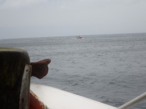 P8030175