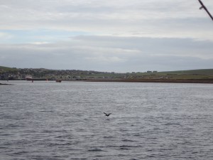 P8050198