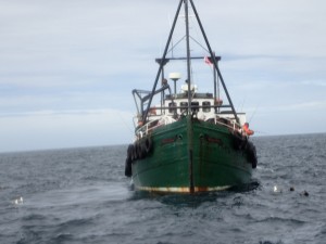 P8060210