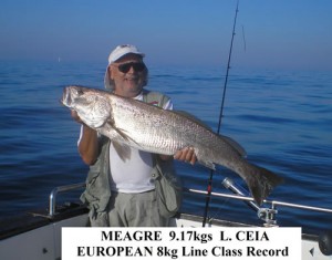 Record-1-l