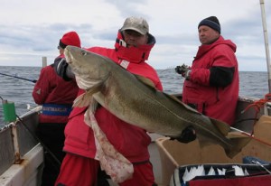 Victor big cod L