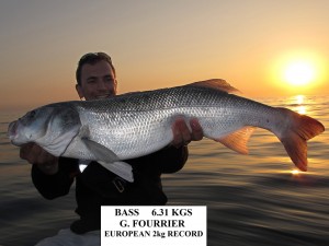 bass-record   
