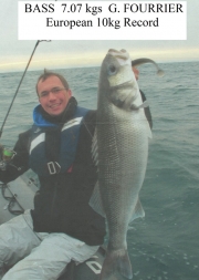 bass                        