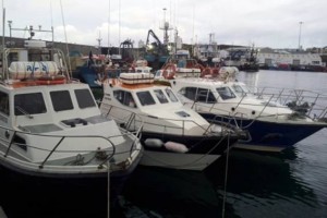 european-species-championship-2012_clip_image003