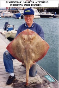 image3_b