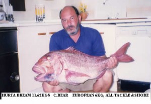 image4_b