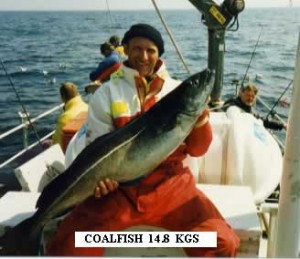 image6_b
