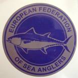 CAR STICKER